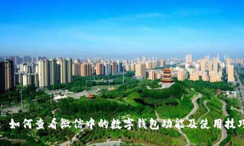 : 如何查看微信中的数字钱包功能及使用技巧
