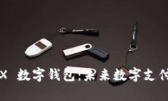 全面解析 FX 数字钱包：未