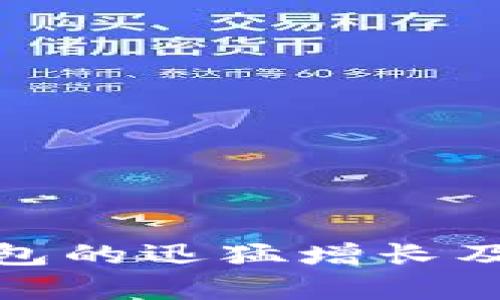 : 数字货币钱包的迅猛增长及未来趋势分析