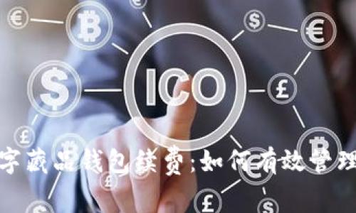 : 深入了解数字藏品钱包续费：如何有效管理你的数字资产