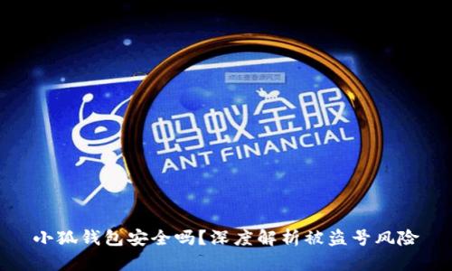 小狐钱包安全吗？深度解析被盗号风险