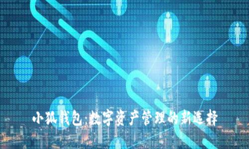 小狐钱包：数字资产管理的新选择