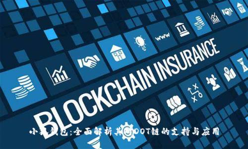 小狐钱包：全面解析其对DOT链的支持与应用