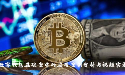 数字钱包在破案中的应用案例分析与视频实录