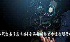 小狐钱包丢了怎么办？全面解析解决方案及预防