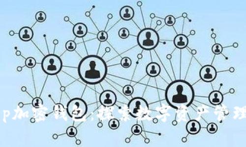 Bitkeep加密钱包：探索数字资产管理的未来