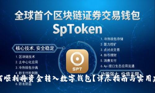 如何顺利将资金转入数字钱包？详尽指南与实用建议