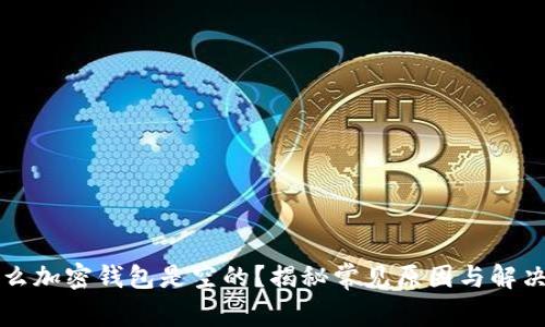为什么加密钱包是空的？揭秘常见原因与解决方案