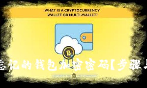 如何解除忘记的钱包加密密码？步骤与方法详解