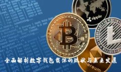 全面解析数字钱包载体的