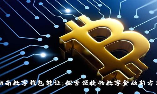 湖南数字钱包转让：探索便捷的数字金融新方式