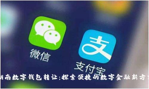 湖南数字钱包转让：探索便捷的数字金融新方式
