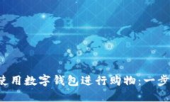  如何使用数字钱包进行购