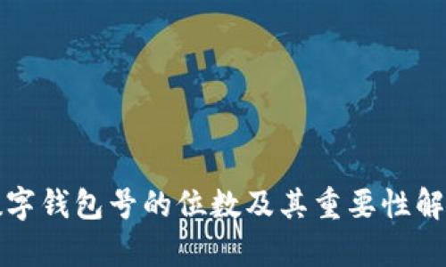 数字钱包号的位数及其重要性解析