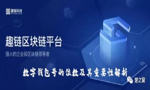 数字钱包号的位数及其重要性解析
