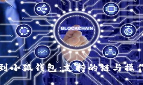 提币到小狐钱包：支持的链与操作指南
