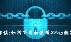全面解读：如何下载和使