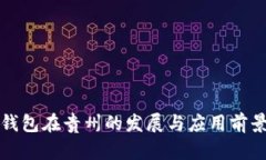 数字钱包在贵州的发展与