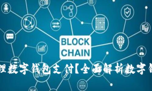 什么银行可以办理数字钱包支付？全面解析数字钱包与银行的关系
