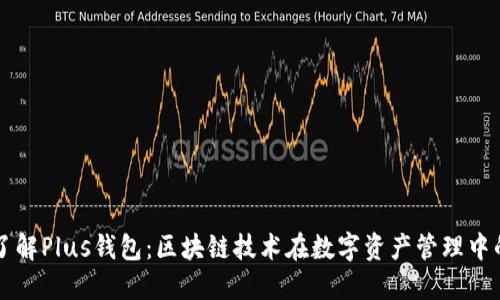 深入了解Plus钱包：区块链技术在数字资产管理中的应用