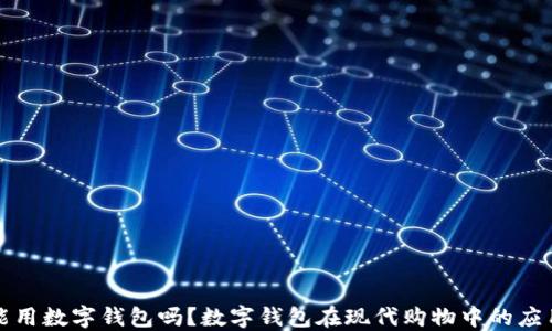 
买菜能用数字钱包吗？数字钱包在现代购物中的应用详解