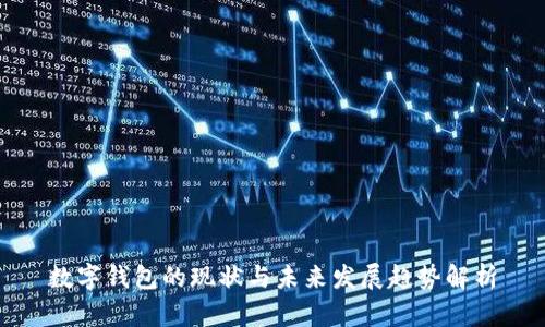 数字钱包的现状与未来发展趋势解析