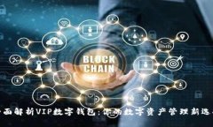 全面解析VIP数字钱包：你的数字资产管理新选择