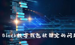 如何解决S Block数字钱包被锁定的问题：完整指南