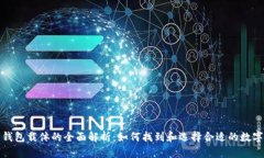 数字钱包载体的全面解析：如何找到和选择合适