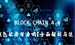小狐钱包能开分身吗？全面解析与使用指南
