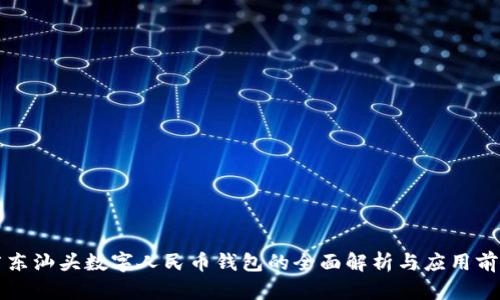 广东汕头数字人民币钱包的全面解析与应用前景