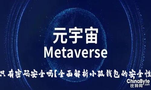 : 小狐钱包只有密码安全吗？全面解析小狐钱包的安全性与保护措施