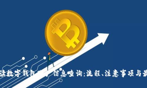 全面解读数字钱包账户信息查询：流程、注意事项与最佳实践