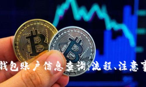 全面解读数字钱包账户信息查询：流程、注意事项与最佳实践