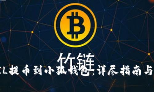 如何将FIL提币到小狐钱包：详尽指南与步骤解析