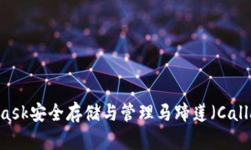如何通过MetaMask安全存储与管理马蹄莲（Calla Lily）数字资产