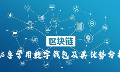 秘鲁常用数字钱包及其优势分析