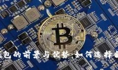 美国加密电子钱包的前景