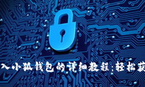 BZZ主网导入小狐钱包的详细教程：轻松获取加密资产