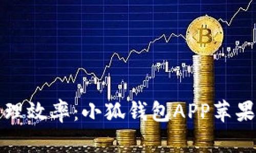 提升财务管理效率：小狐钱包APP苹果版使用指南
