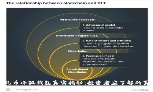 酷儿币小狐钱包真实揭秘：投资者应了解的真相