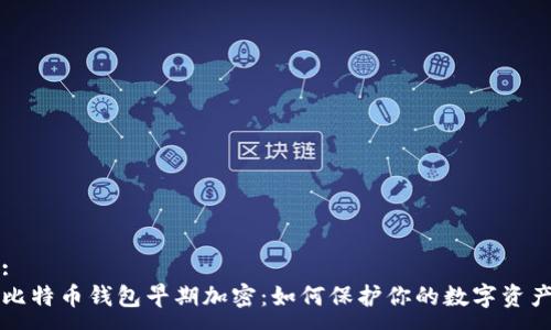 :
比特币钱包早期加密：如何保护你的数字资产