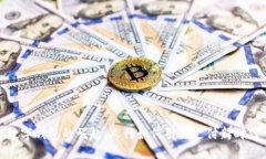 数字钱包的崛起：人行如