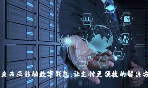 马来西亚移动数字钱包：让支付更便捷的解决方案