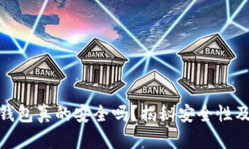 数字货币钱包真的安全吗？揭秘安全性及保护措施