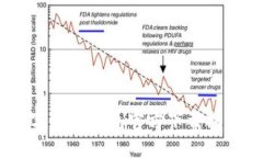 拥抱自由：数字游民钱包