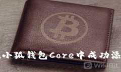 如何在小狐钱包Core中成功添加主网