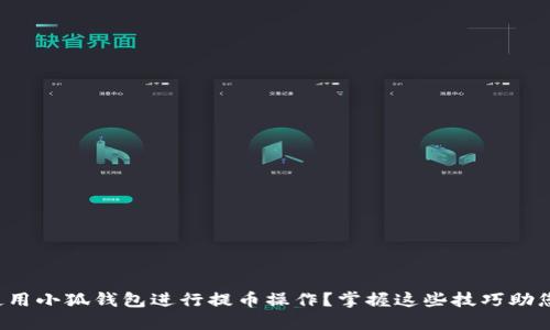 如何高效使用小狐钱包进行提币操作？掌握这些技巧助您快速提现！
