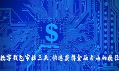 数字钱包审核三天，快速