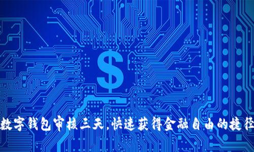 数字钱包审核三天，快速获得金融自由的捷径